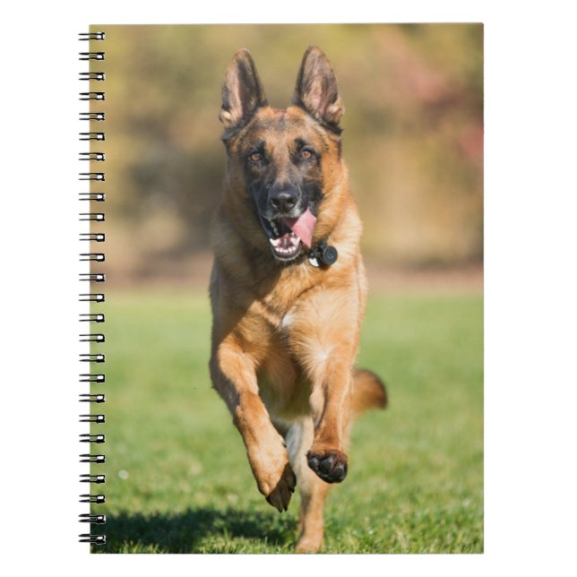 Caderno Espiral German shepherd em execução (Frente)