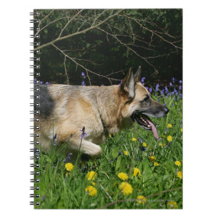 Caderno Espiral German shepherd em flores amarelas