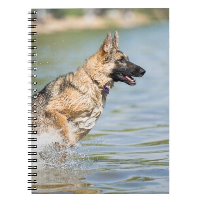 Caderno Espiral German shepherd Passa Para A Água (Frente)