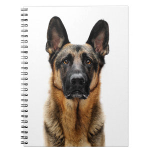 Caderno Espiral German shepherd Sentado