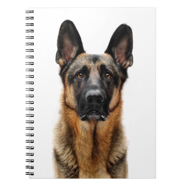 Caderno Espiral German shepherd Sentado (Frente)