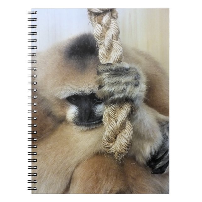 CADERNO ESPIRAL GIBBON (Frente)