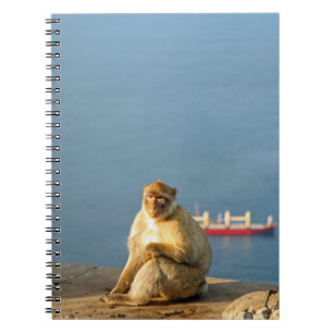 Caderno Espiral Gibraltar Barbary