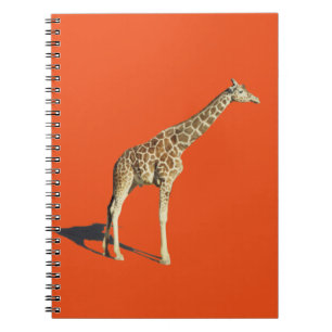 Caderno Espiral Girafa