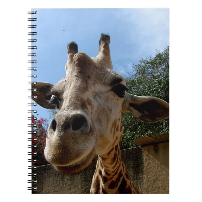Caderno Espiral Girafa (Frente)
