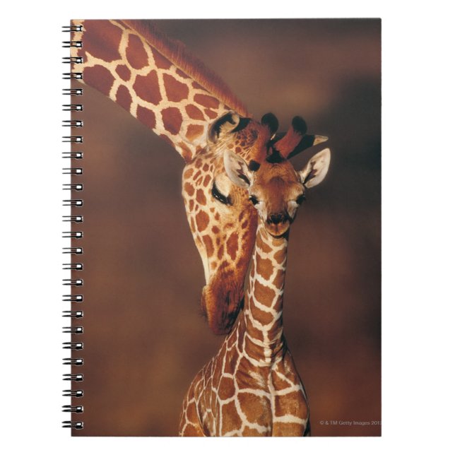 Caderno Espiral Girafa adulta com vitelo (Girafa camelopardalis) (Frente)