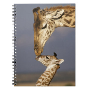Caderno Espiral Girafa Beijando Girafa Bebê