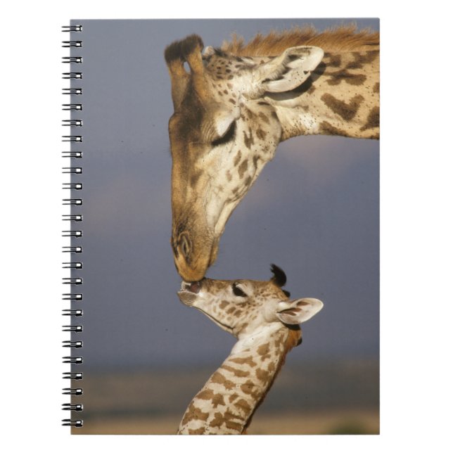 Caderno Espiral Girafa Beijando Girafa Bebê (Frente)