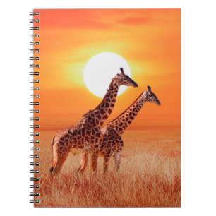 Caderno Espiral Girafa na savana africana contra o backdro