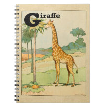 Girafa no Deserto