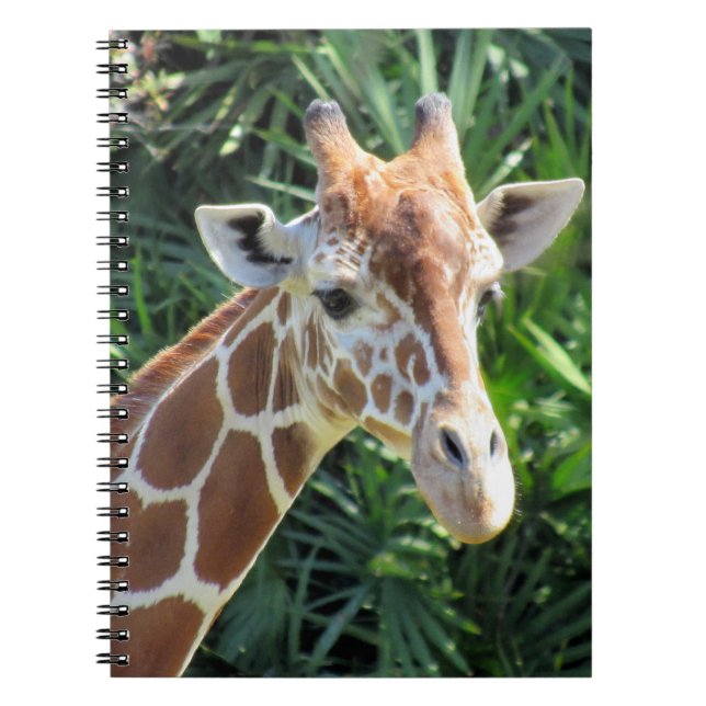 Caderno Espiral Girafa - Notebook 6,5 x 8,75 (Frente)