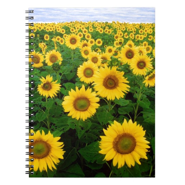 Caderno Espiral Girassóis (Frente)