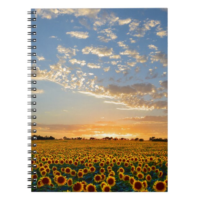 Caderno Espiral Girassóis no Sunset (Frente)