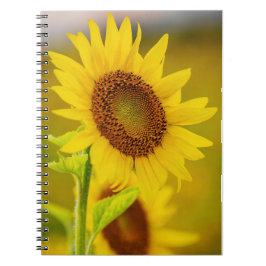 Caderno Espiral Girassol