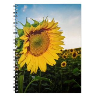 Caderno Espiral Girassol