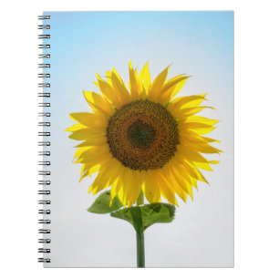 Caderno Espiral Girassol amarelo