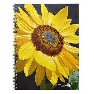 Caderno Espiral Girassol amarelo-claro