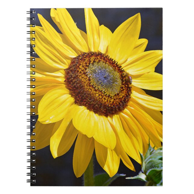 Caderno Espiral Girassol amarelo-claro (Frente)