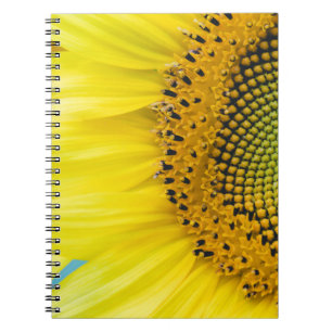 Caderno Espiral Girassol brilhante