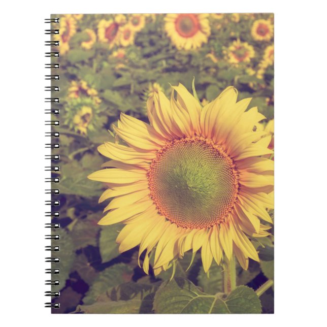 Caderno Espiral Girassol com efeito de filtro retro estileag (Frente)