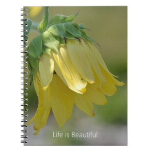 Caderno Espiral Girassol de Jardim Amarelo (minha fotografia)