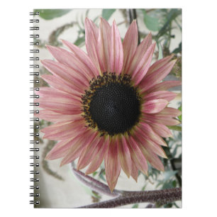 Caderno Espiral Girassol rosa pálido