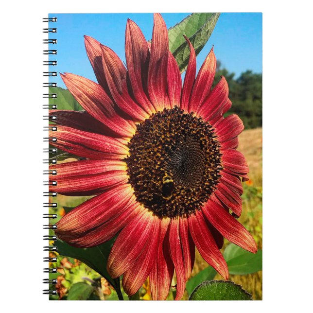 Caderno Espiral Girassol Vermelho com Abelha (Frente)