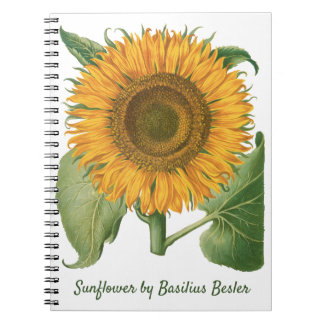 Caderno Espiral Girassol Vintage por Basilius Besler