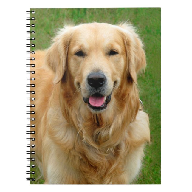 Caderno Espiral Golden retriever (Frente)