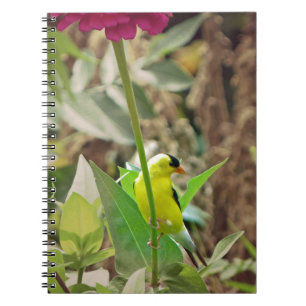 Caderno Espiral Goldfinch