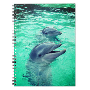 Caderno Espiral Golfinhos
