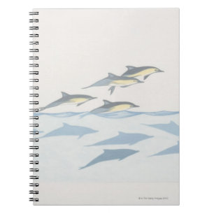 Caderno Espiral Golfinhos comuns