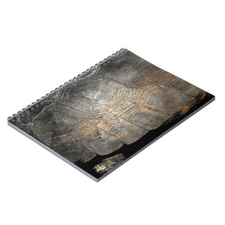 Caderno Espiral Gopher Tortoise Shell