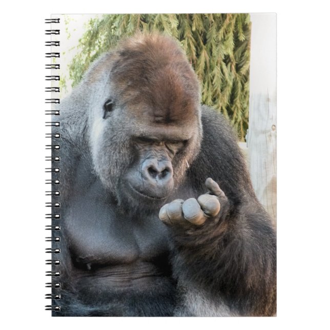 CADERNO ESPIRAL GORILLA (Frente)
