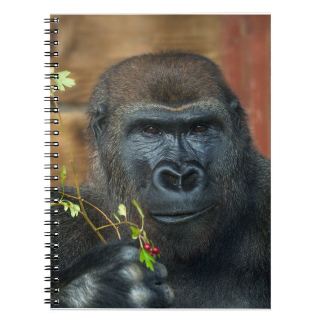 Caderno Espiral Gorilla E Suas Berries (Frente)