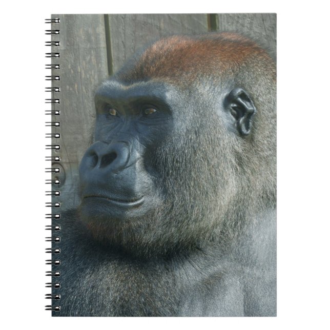 Caderno Espiral Gorilla Lope (Frente)