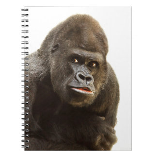 Caderno Espiral Gorilla Pout