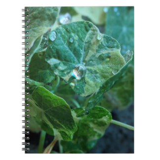 Caderno Espiral Gotas da Natureza
