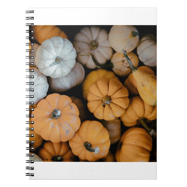 Caderno Espiral gourd (Frente)