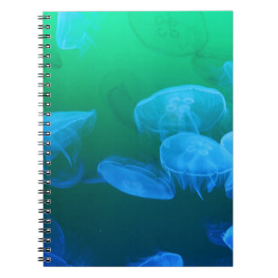 Caderno Espiral Gradação Azul Verde de Água-Viva legal