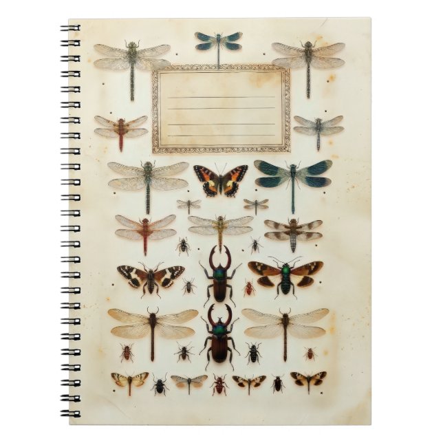 Caderno Espiral Gráfico de Espécime de Taxonomia de Besouro Libélu (Frente)