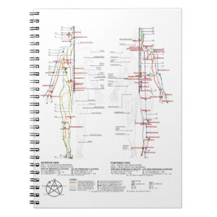 Caderno Espiral Gráfico de Meridianos Humanos