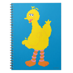 Caderno Espiral Gráfico do Big Bird