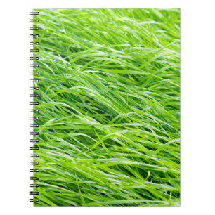 Caderno Espiral Grama
