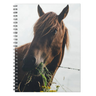 CADERNO ESPIRAL GRAMA DE CORTE DE CAVALO