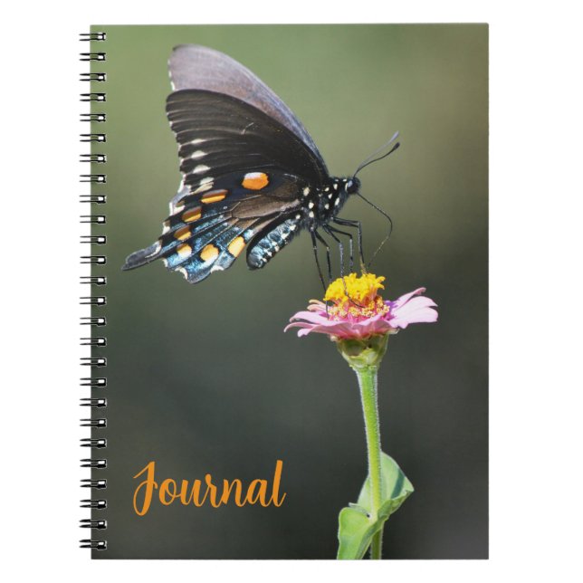Caderno Espiral Grande Borboleta Bonito e Diário de Flor Pessoal (Frente)