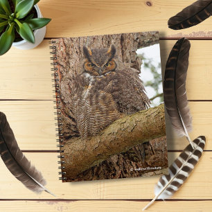 Caderno Espiral Grande coruja Horned no abeto de Douglas