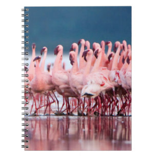 Caderno Espiral Grande Grupo de Flamingos Menores