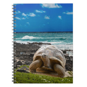 Caderno Espiral Grande tartaruga na borda do mar