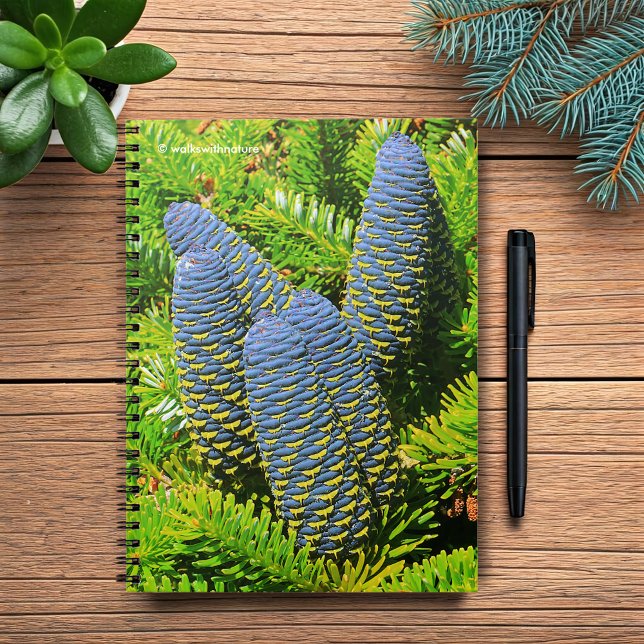 Caderno Espiral Grandes Cones Azul-Coreanos (Big Blue Korean Fir Pinecones Journal Cover Photo)